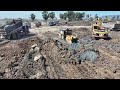 EP 5 !!  Project Delete Lake  by Equipment Machine Bulldozer and Truck Wheel 10 Spreading Soil Mud