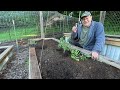 Planting Raised Beds