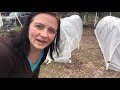 Low Tunnel On a BUDGET | How To Build A Greenhouse Low Tunnel