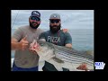 Bluefish & Stripers | The RACE