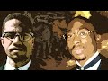 2Pac & Malcolm X - Me & You Against The Nation