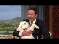 Puppies Predict the 2022 Kentucky Derby | The Tonight Show Starring Jimmy Fallon