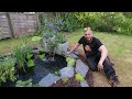 GARDEN GOLDFISH POND. My BIGGEST project yet! Plants, Lights, Fish and finishing touches (Part 2)