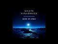 Maate Vinadhuga | Cover by Vens8