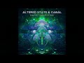 Altered State & Cabal - Magic Mushrooms (Original Mix)