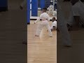 karate bros