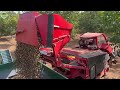 How Farmers Harvest Walnuts | Processing Walnuts in a Factory | Agricultural Technology #33.