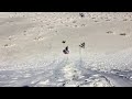 Sand Sledding @ White Sands National Monument