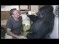 Koko the Gorilla meets Robin Williams