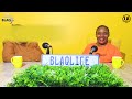 SIKHIPHA IZIMFIHLO | Ngadlisa umfwethu esenake umfazi | S1 - EP43