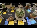2024 Central Arizona Cactus & Succulent Society Show & Sale | Desert Botanical Garden | Phoenix, AZ