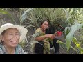 VILLAGE  LIFE IN NAGALAND // WORK  & EAT // NAGA  LIFESTYLE // day 1 //2024