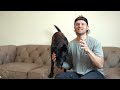 EXTREMELY LEASH AGGRESSIVE DOG TRAINING!