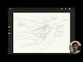 Art Ritual 20: Fairy Queen (Real Time Tutorial In Procreate)
