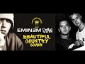 Eminem Stan But Its Country