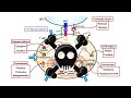 Pharmacology - IMMUNOSUPPRESSANTS (MADE EASY)