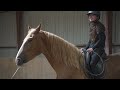 Columbo Natural Horsemanship Riding & Liberty Training Part Two