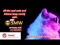 SMW Refrigeration and Heating: All the cool cats and kittens keep comfy with us.