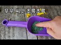 김장배추 심기전 토양에 뿌리기만 해도 청벌레 진딧물 응애 싹 김장배추밭 만들기 배추심는 시기 김장무우심는시기 배추심는간격 쪽파#친환경#유기농#건강#농사#주말농장#귀농#시골#전원생활