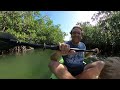 Amazing Kayaking At John Pennekamp Through The Florida Mangroves!