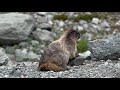 Garibaldi Provincial Park, British Columbia, Canada  [Amazing Places 4K]