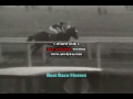 Ruffian/Man O War/Secretariat - The Unstoppable