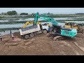 Interesting!! Dump Truck Drive Back Unloading Landslide Overturned Recovery By Two Excavator & Dozer