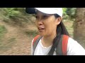 Sheshan Forest Park | HIKING