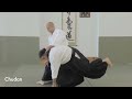 Aikido - Belt Test/Exam - 4th Kyu