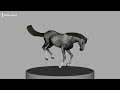 3D Horses Animation - Part 2