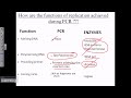 PCR (polymerase chain reaction) in detail