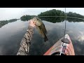 Surviving a Loon ATTACK Kayak Fishing for BIG Bass in shallow water!