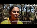 Kangaroo Island bushfires - first-hand account from RSPCA vet Gayle