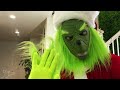 HOLY CRAP! Christmas Cats VS the Grinch in GIANT PRESENT! | Naia Léo Bengals