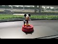 Mickey, the headbanging John Mayer fan!