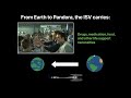 ISV - Interstellar Vehicle | How it works from Avatar: The Way of Water