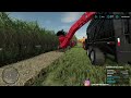 ✅CAÑA DE AZUCAR en Farming Simulator 22🚜