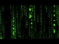 Matrix Screensaver Rain Code 1H 4K | Matrix text effect - No Copyright | loop motion background