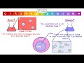 GCSE Chemistry - Acids and Bases  #34