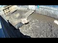 Поросенок не смог выкарабкаться, МЧС бездействует. The piglet could not get out, the MES is inactive