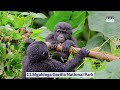 15 Best Places to Visit in Uganda | Travel Video | Travel Guide | SKY Travel