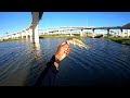 The HOUSTON FREEWAY FISHING HONEY HOLE