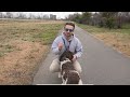 REACTIVE DOG TUTORIAL: Stop Barking and Lunging at Other Dogs