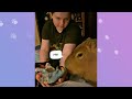 Sassy Capybara Thrives Off Being The Center Of Attention In Forever Family  | Cuddle Buddies