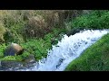 Water stream that makes you calm