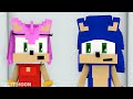 Who will Amy Fall in Love? RICH Shadow vs POOR Sonic | Sonic the Hedgehog 2