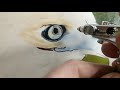 How to paint a realistic Hawk using an airbrush...split into 2 videos