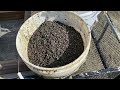 What Does it Take to Get a Bucket Full of Centers at the Crater of Diamonds State Park?