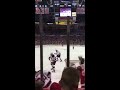 Wings Fans Sing 