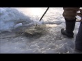 Burbot Fishing on the Yukon River with yukonjeff